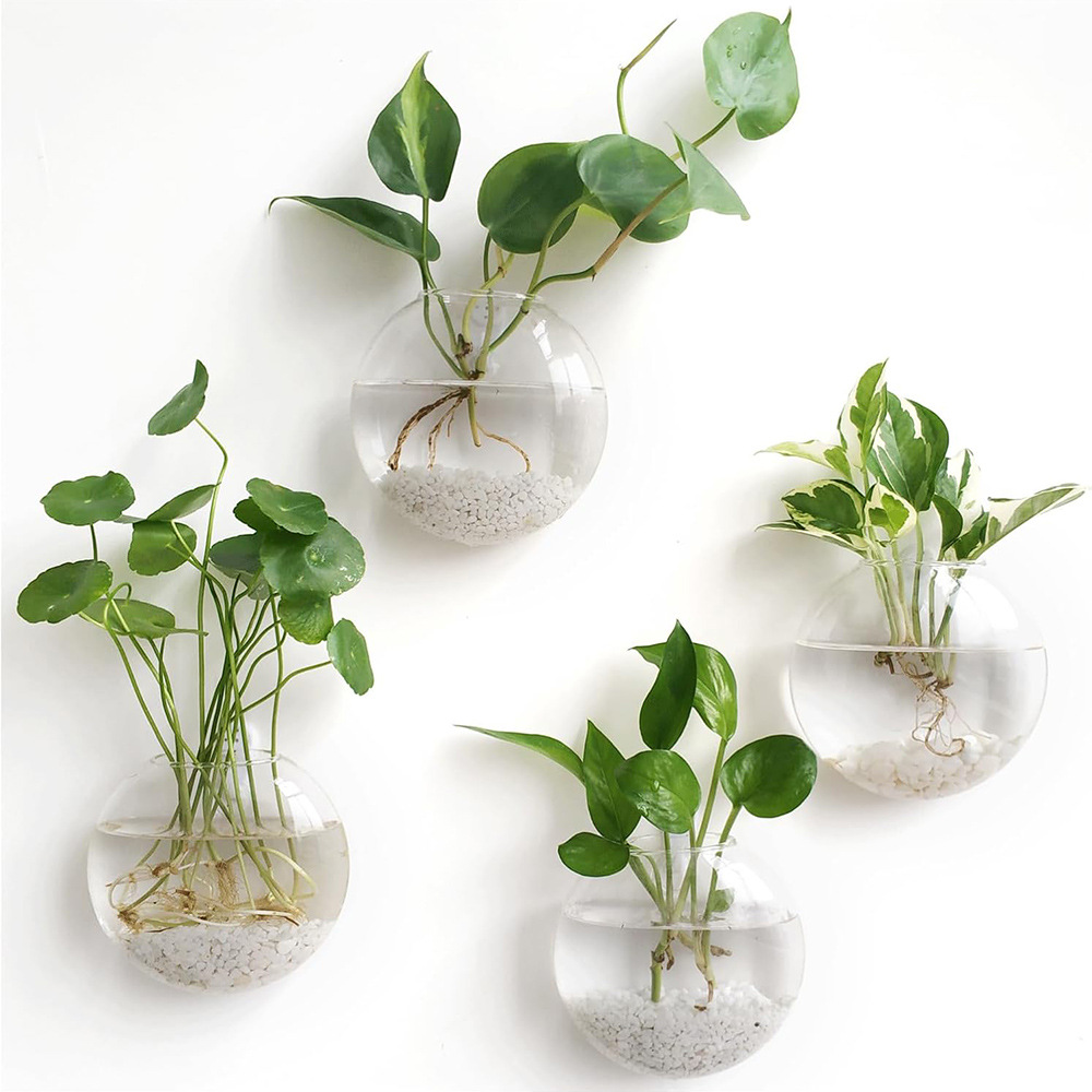 Pacote com 2/4/6 Terrários de  - Self-Watering Planter avaliação e preço