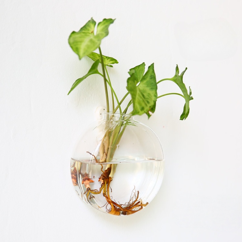 Terrário de vidro para pendura - Self-Watering Planter avaliação e preço