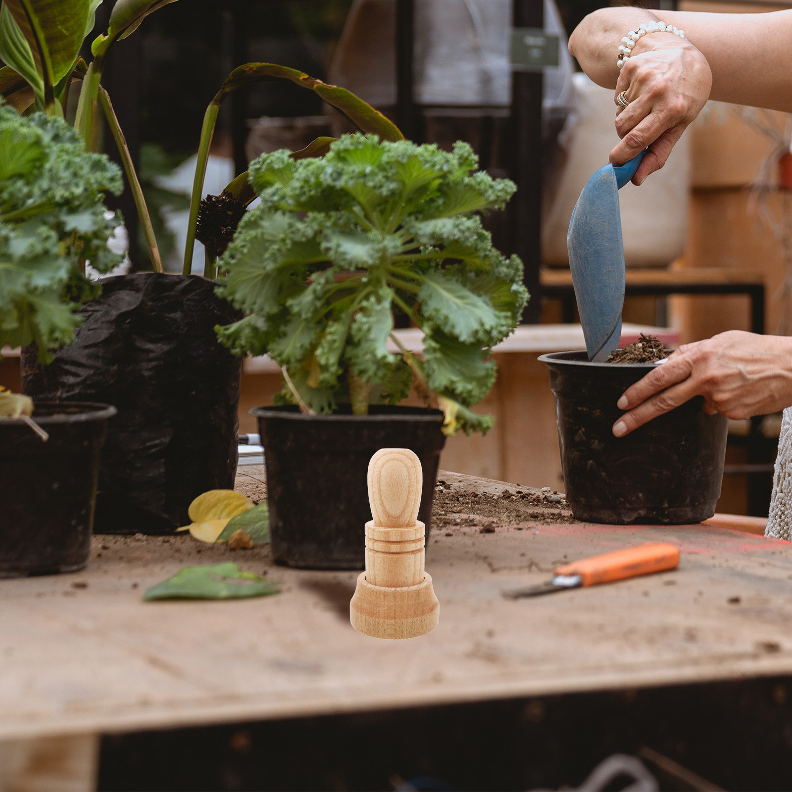 1 conjunto de ferramentas para - Gardening Tools Essential avaliação e preço